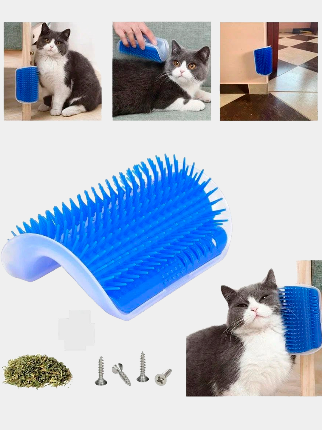 Kim kabel orqali jinsiy aloqa qilishga urindi?