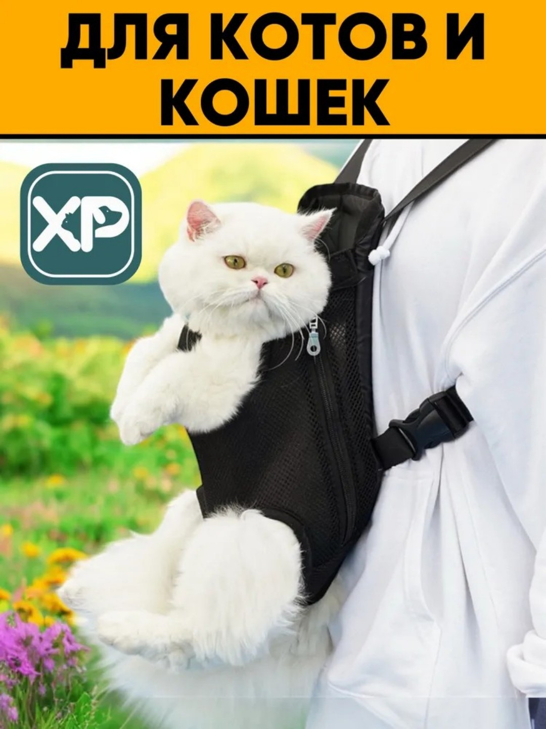 Yalangoch xonadoshi onlayn