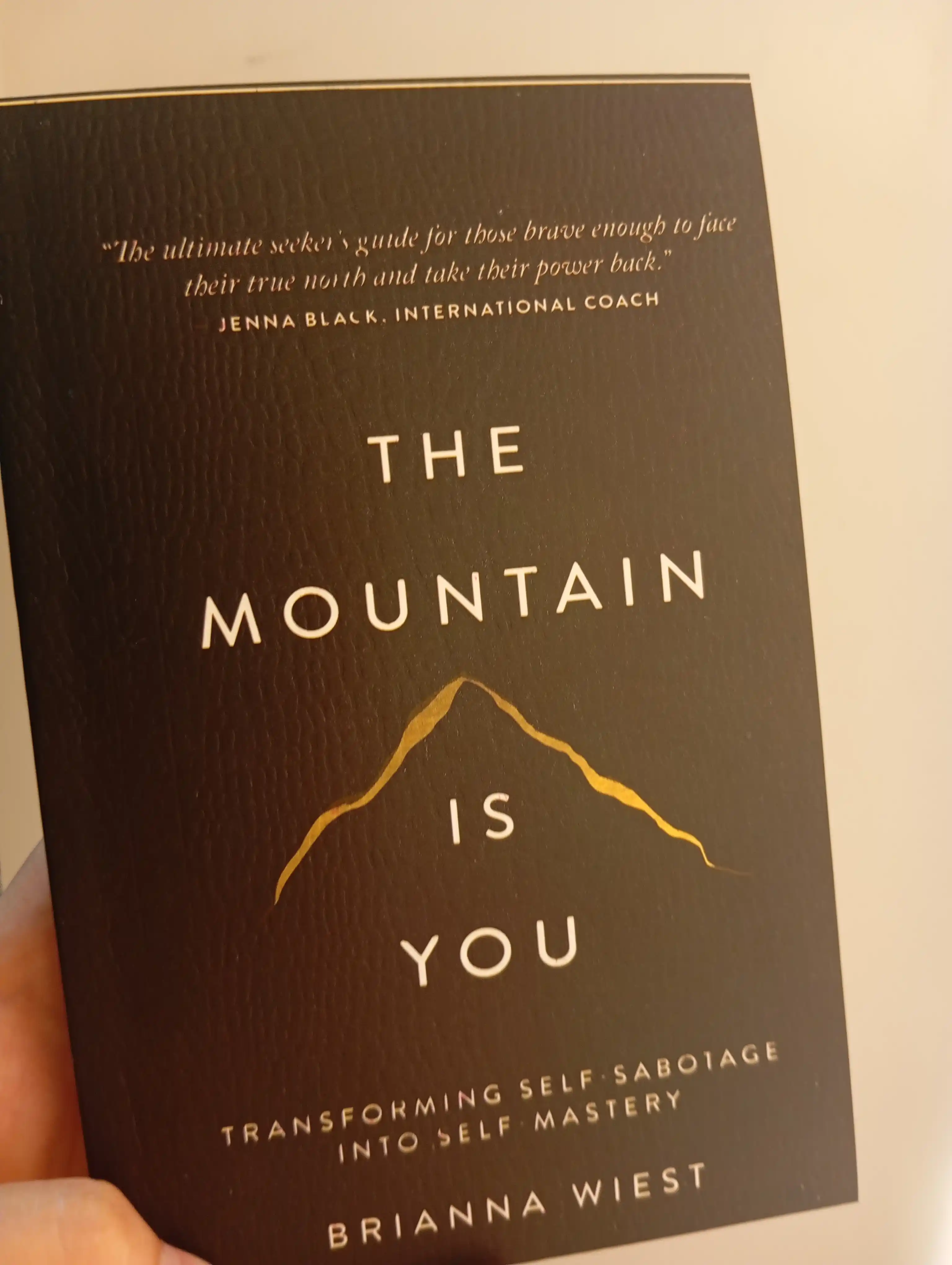 The Mountain is you - Brianna Wiest