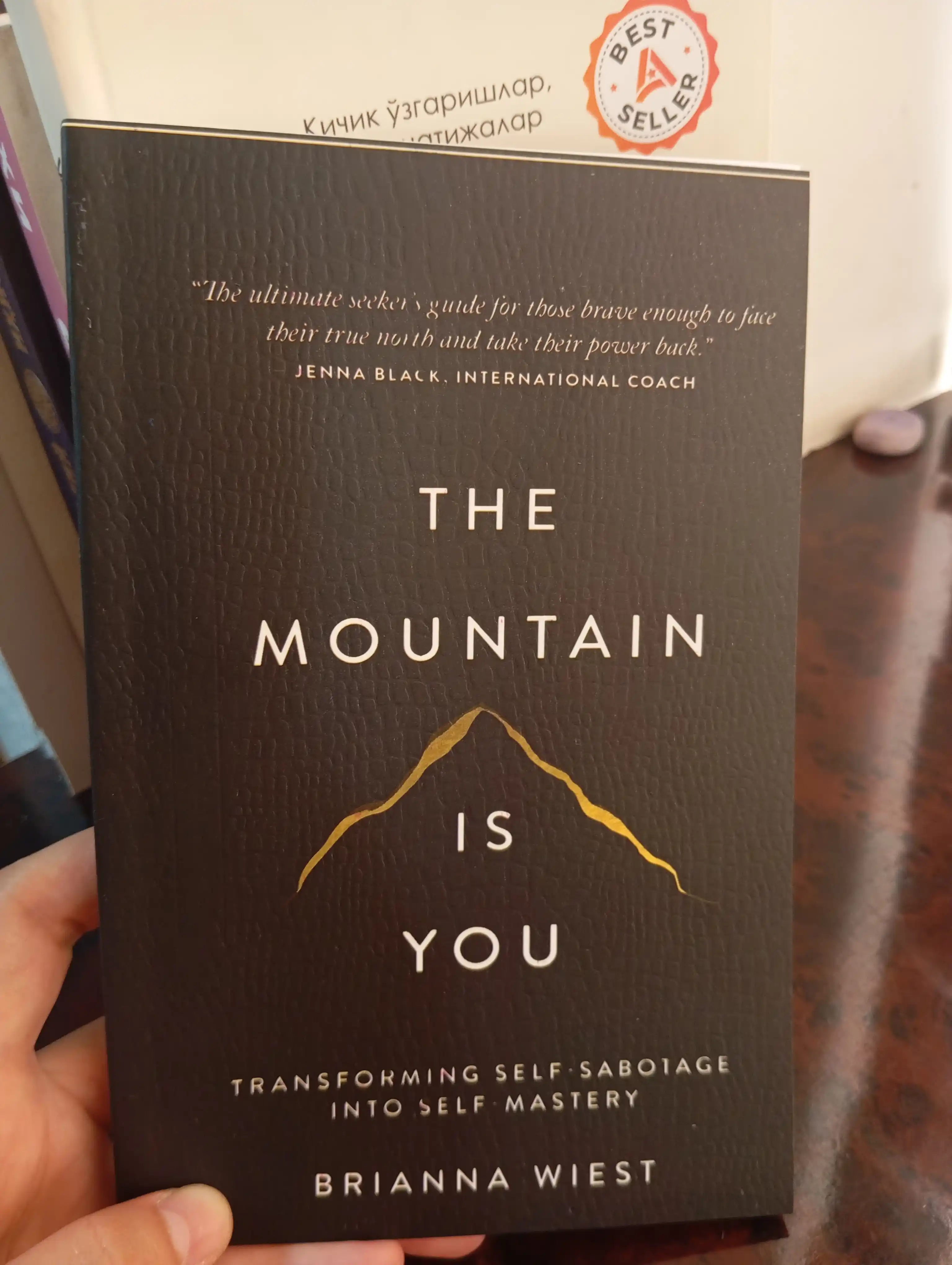 The Mountain is you - Brianna Wiest