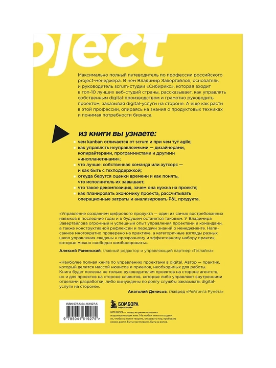 Настольная книга project-менеджера, Что нужно знать, чтобы управлять IT