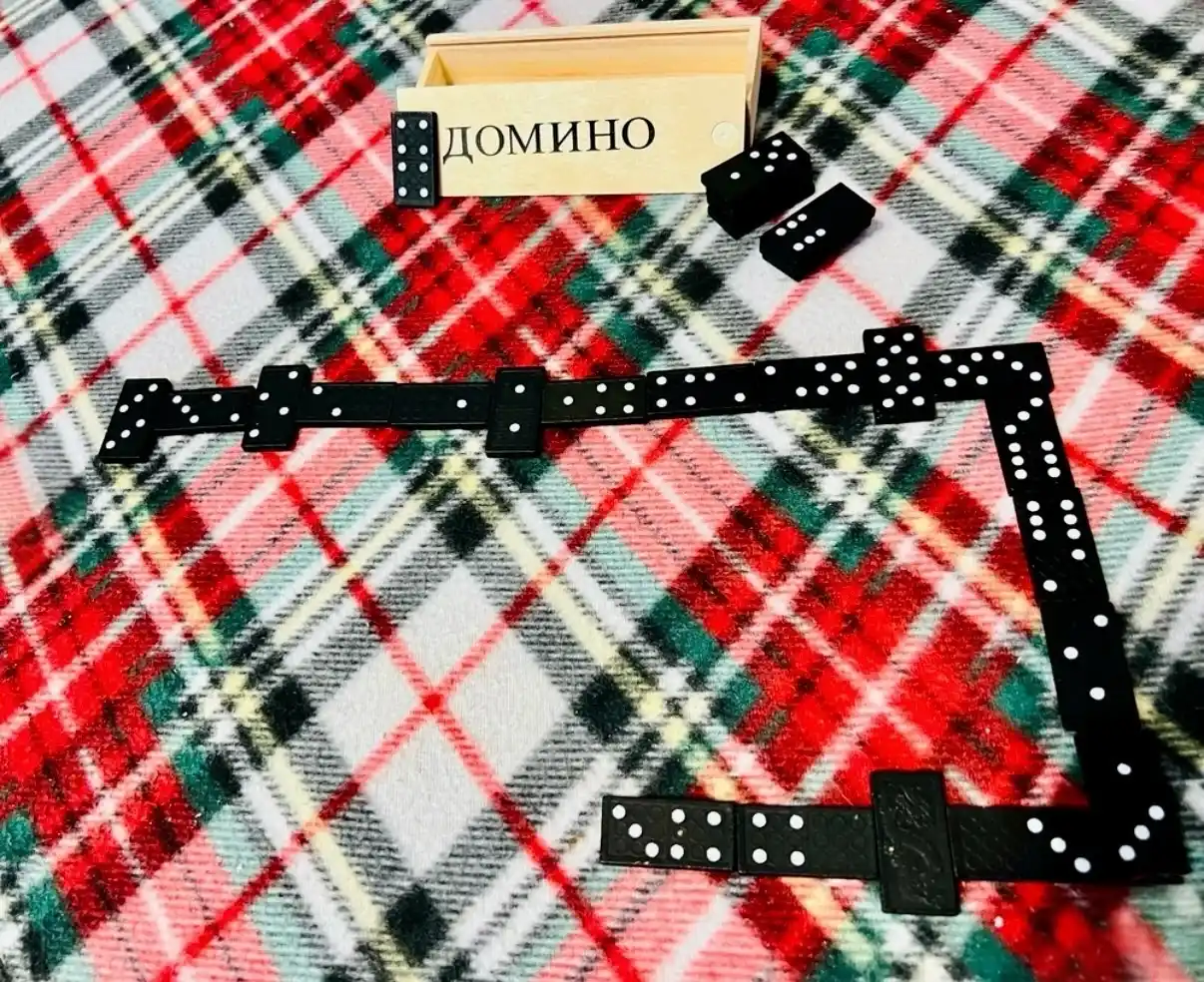 FIDGO domino, yog‘och qutida 28 ta tosh