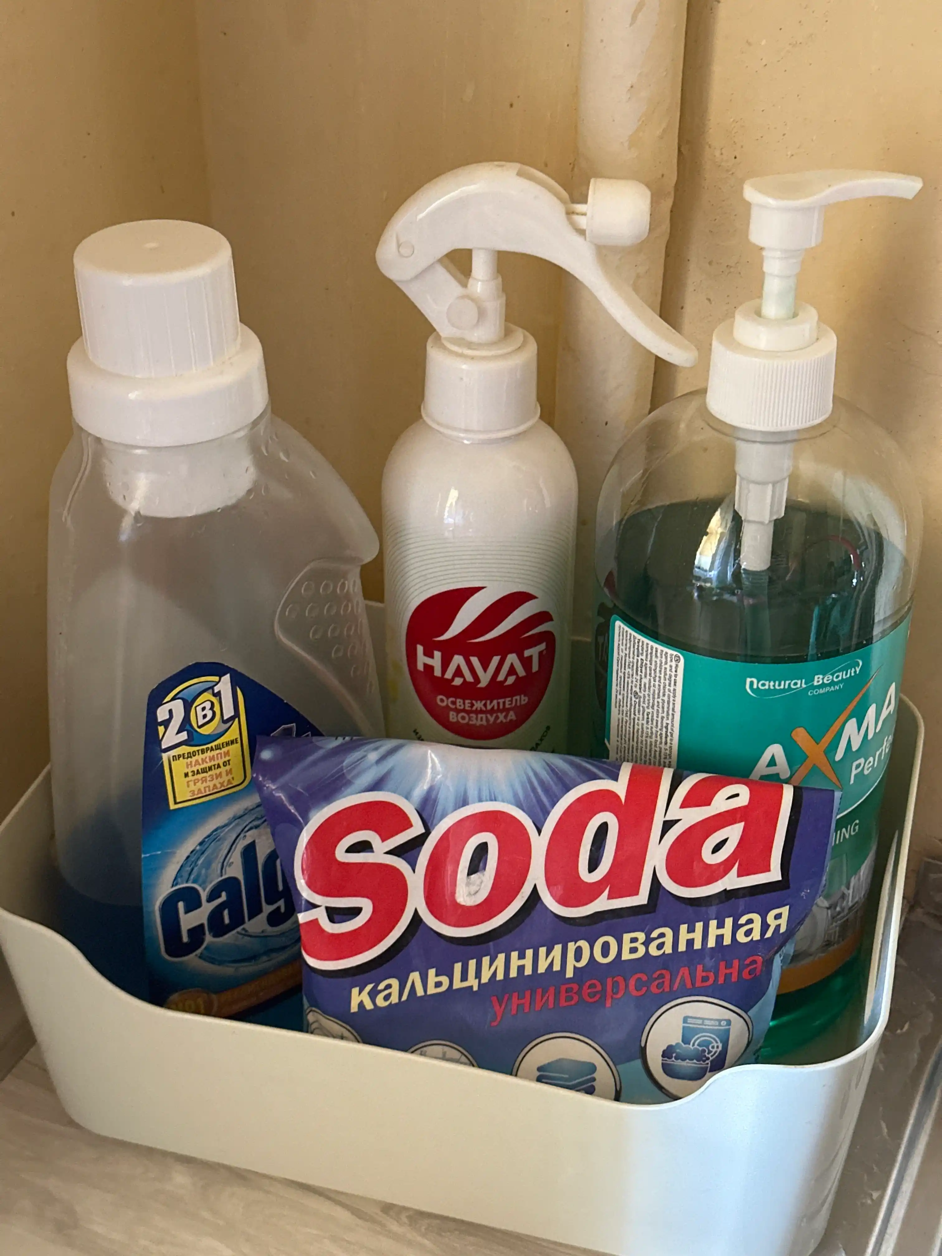 "Scandi" saqlash uchun plastik savat-organayzer
