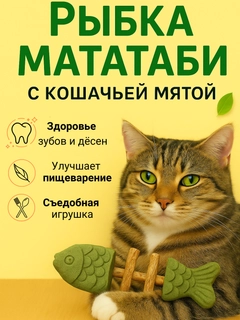Лайм