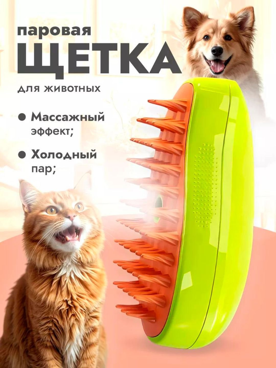 Qizlar mushuklarini yalab, telefon raqamini berishimga ruxsat bering