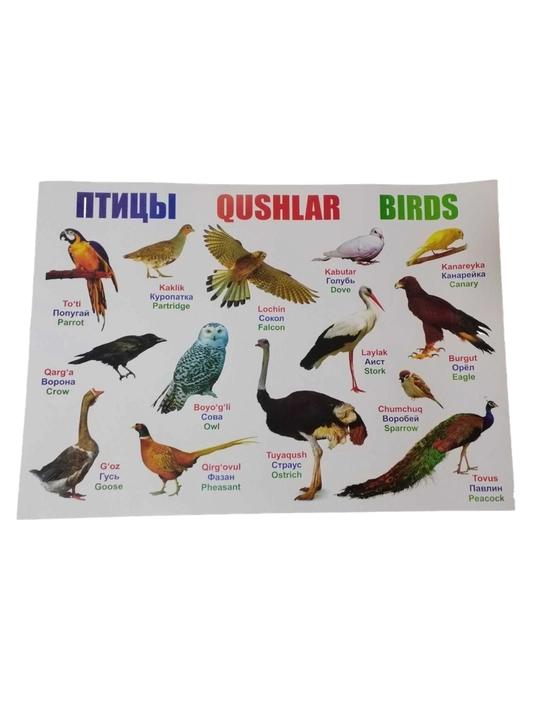 Bolalar uchun alifbo, hayvonlar, mevalar, sabzavotlar bilan plakat - 