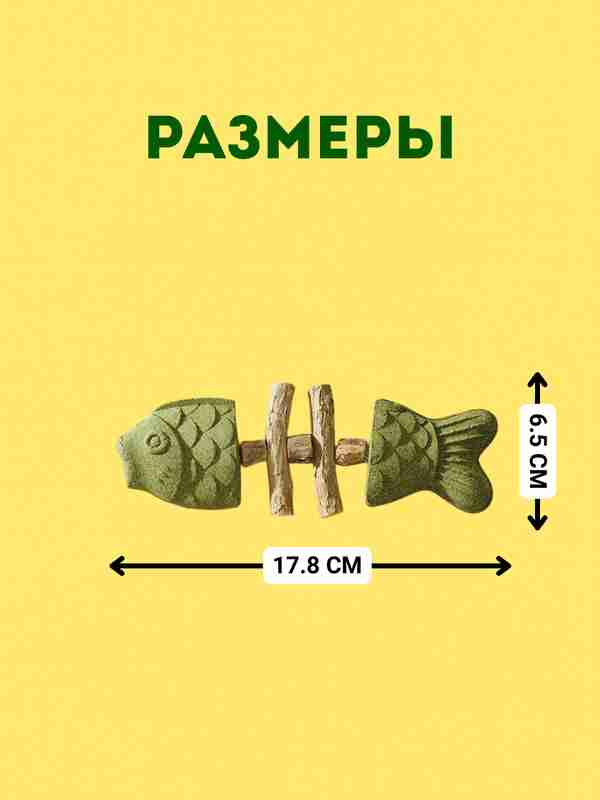 Yetuk ayollarning katta teshiklari Men kiyim-kechak xonasiga qaradim