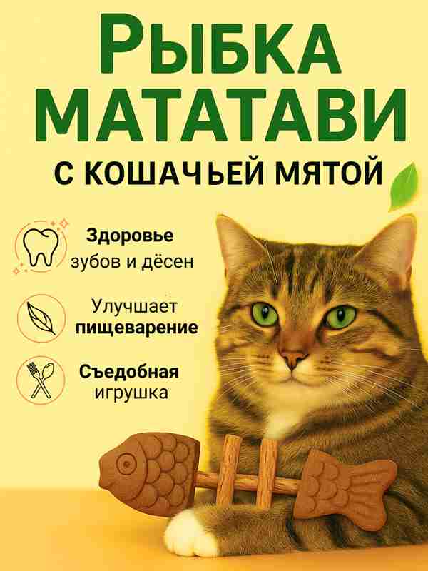 Ishda jinsiy aloqada bolgan qizlar video Ular vaginaga siyadilar