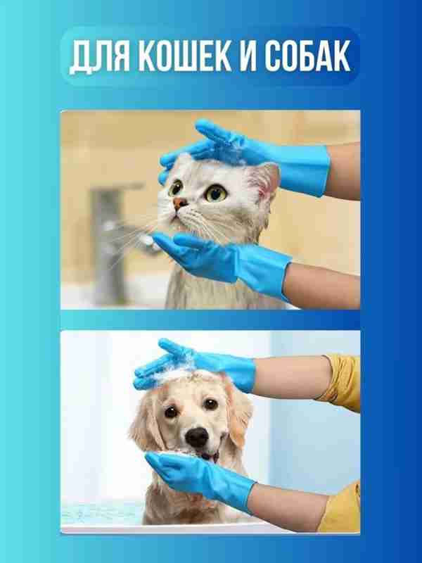 Mushuk ustidagi qolqoplar Mushuk ustidagi qolqoplar