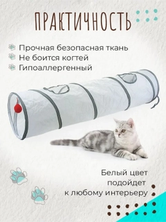 Белый
