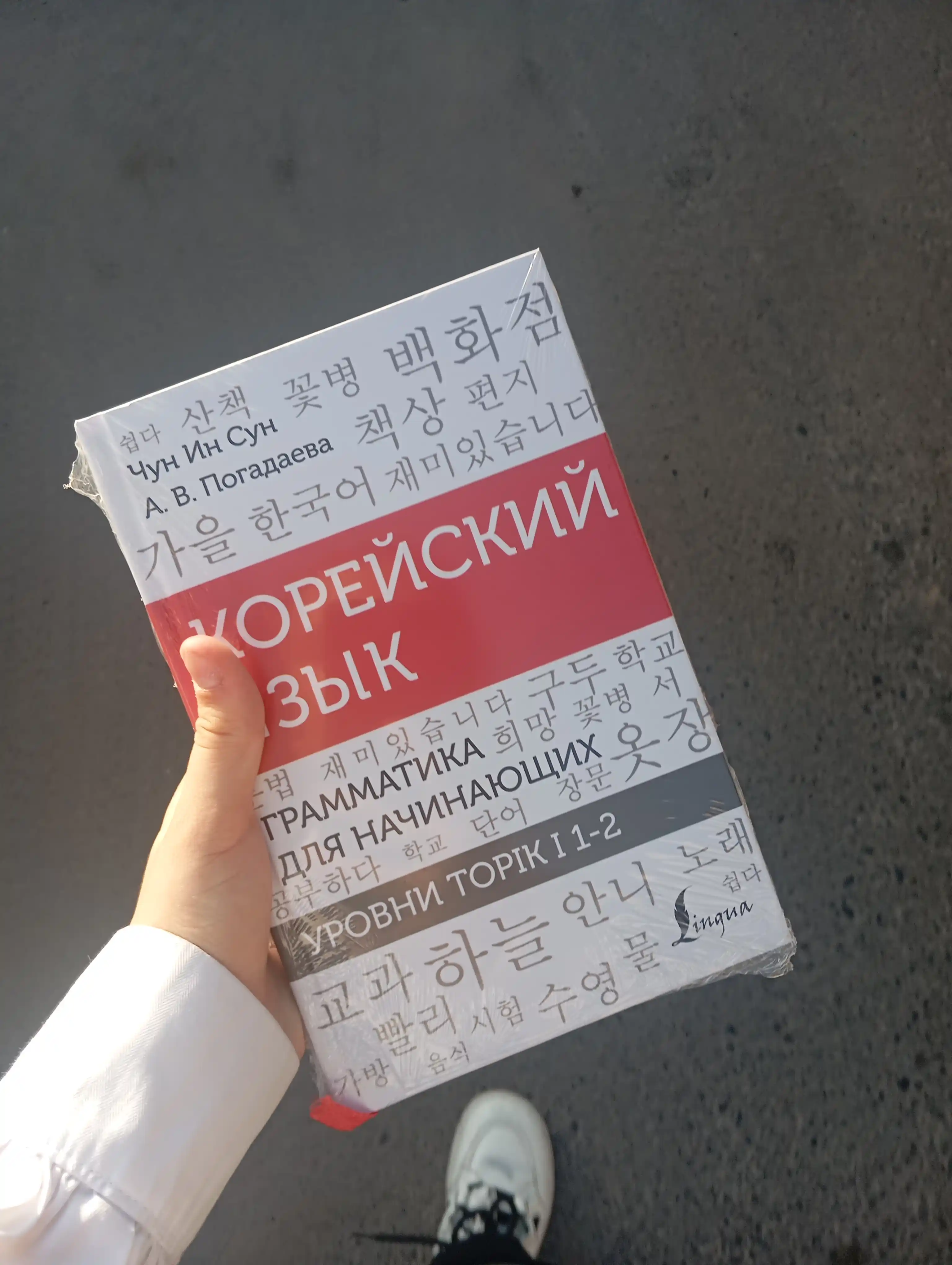 Korei`skii` iazy`k. Grammatika dlia nachinaiushchikh. Urovni TOPIK I 1-2  Chun In Sun, Pogadaeva.A.V
