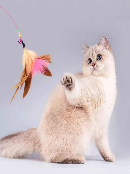 Кошачьи дразнилки, кошачьи игрушки