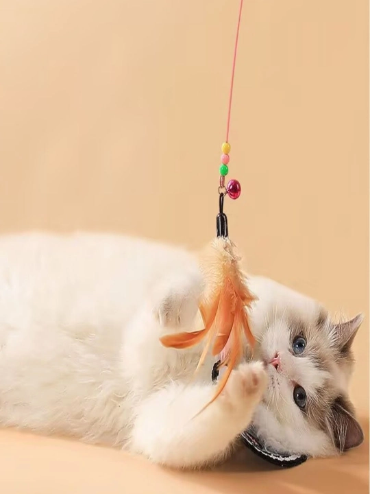 Кошачьи дразнилки, кошачьи игрушки
