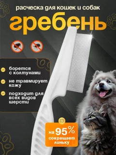 Белый