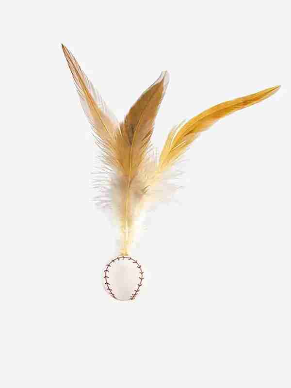 Seksual ukraina qoramagizlari