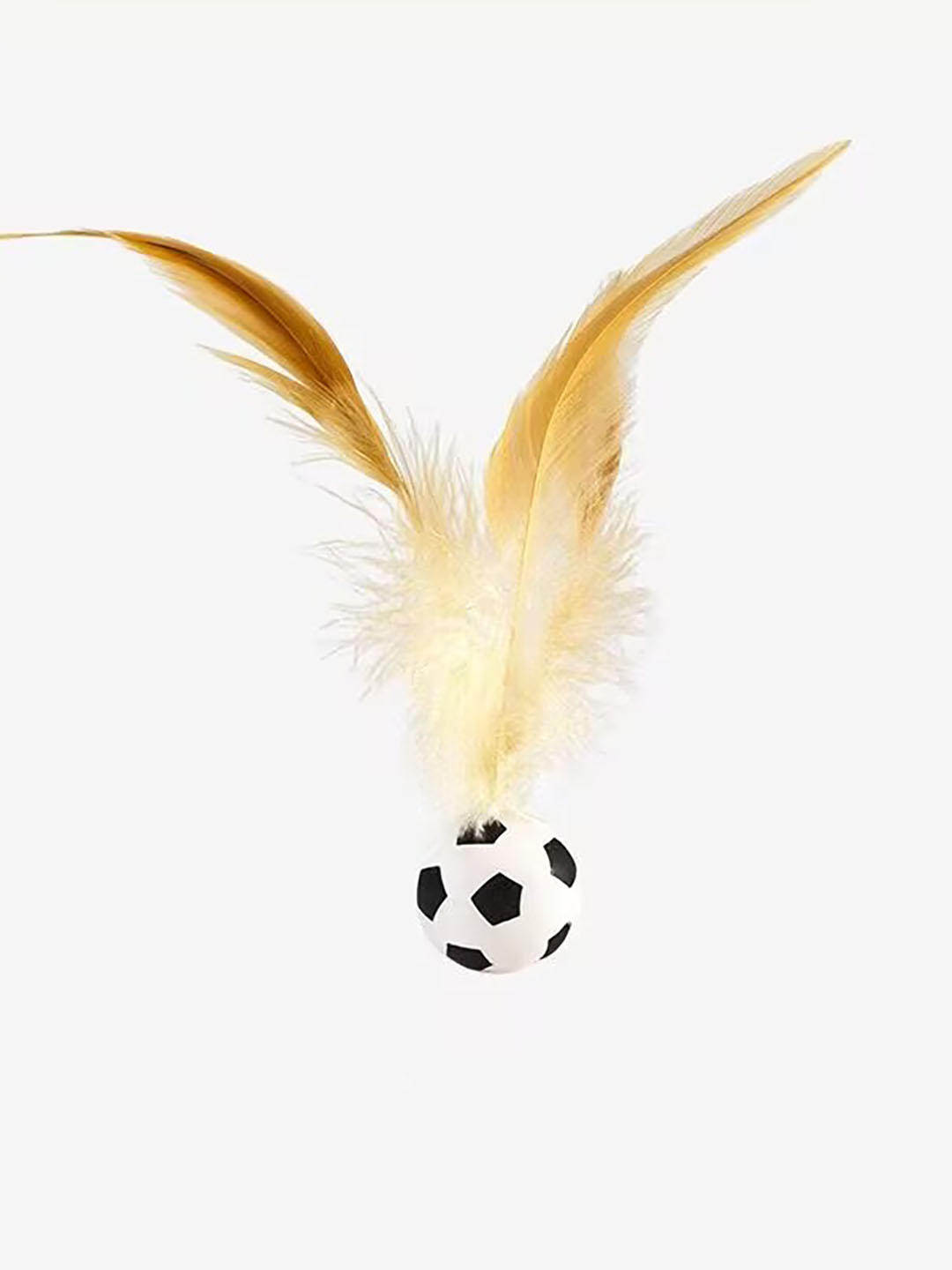 Afrikalik anal Eng yaxshi kunnilingus porno filmlarini onlayn tomosha qiling