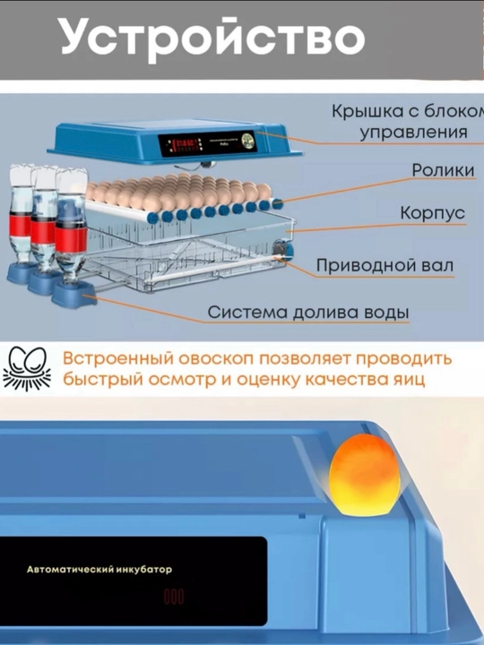 Инкубатор для яиц на 9/12/24/36/64/100/128/200, работает от 12В и 220В