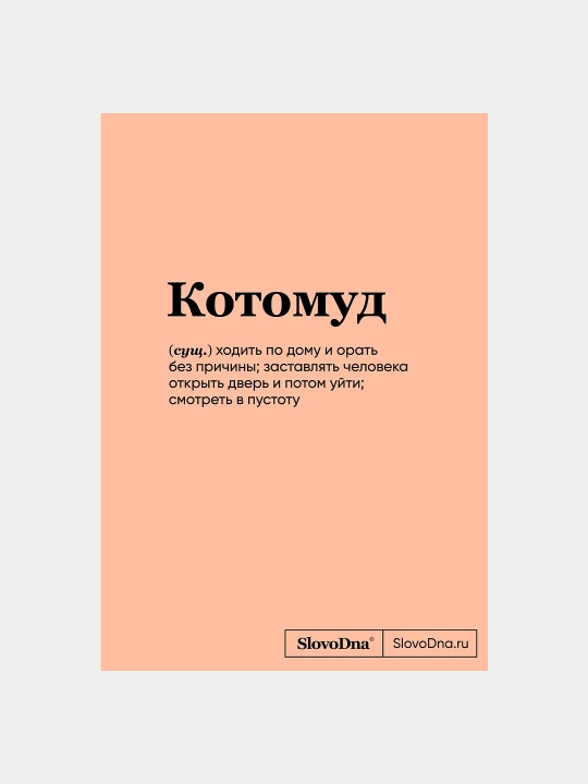 Книга для записей, А5, 64 листов, "SlovoDna. Котомуд" - 