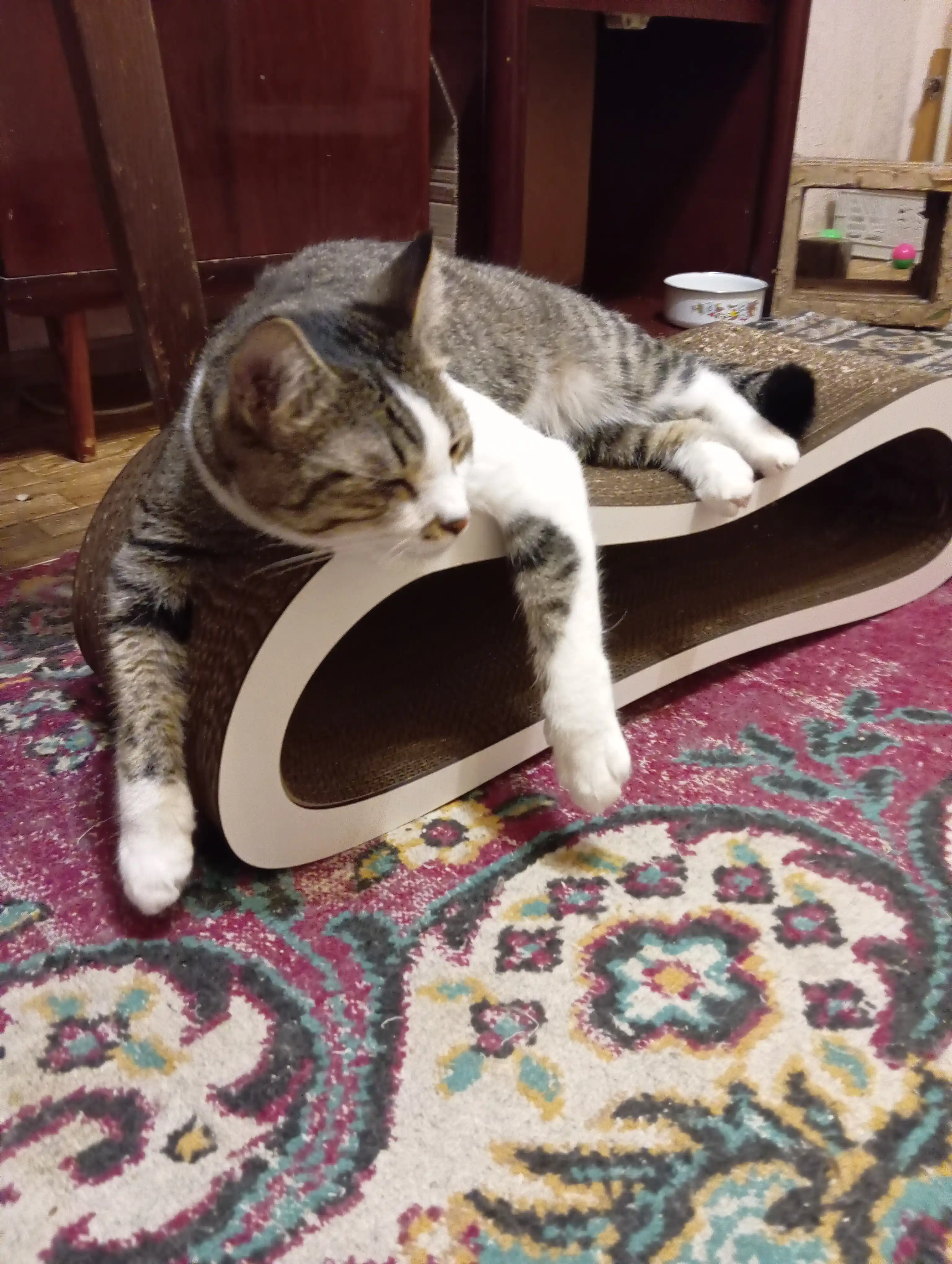 Tirnash ustuni KinderCat Mini Moon mushuklar uchun