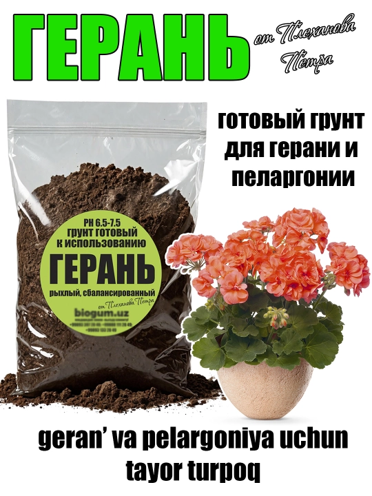 Geran - geran' va pelargoniyalar uchun Pyotr Plexanovdan tayor grunt bog' va uy gullari