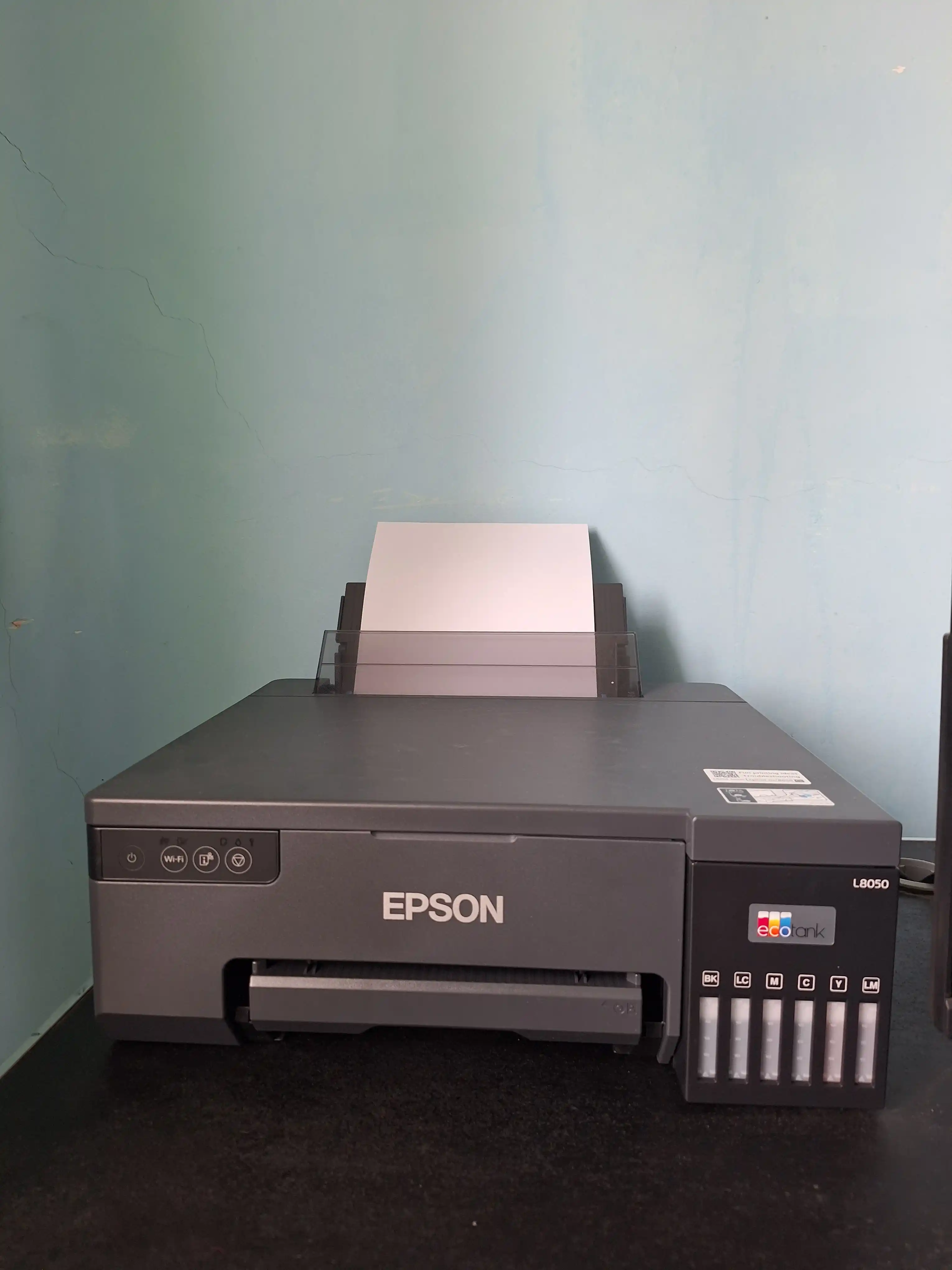 Принтер Epson L8050 цветной фотопринтер A4, Wi-Fi, 6 цветов, для дома и офиса