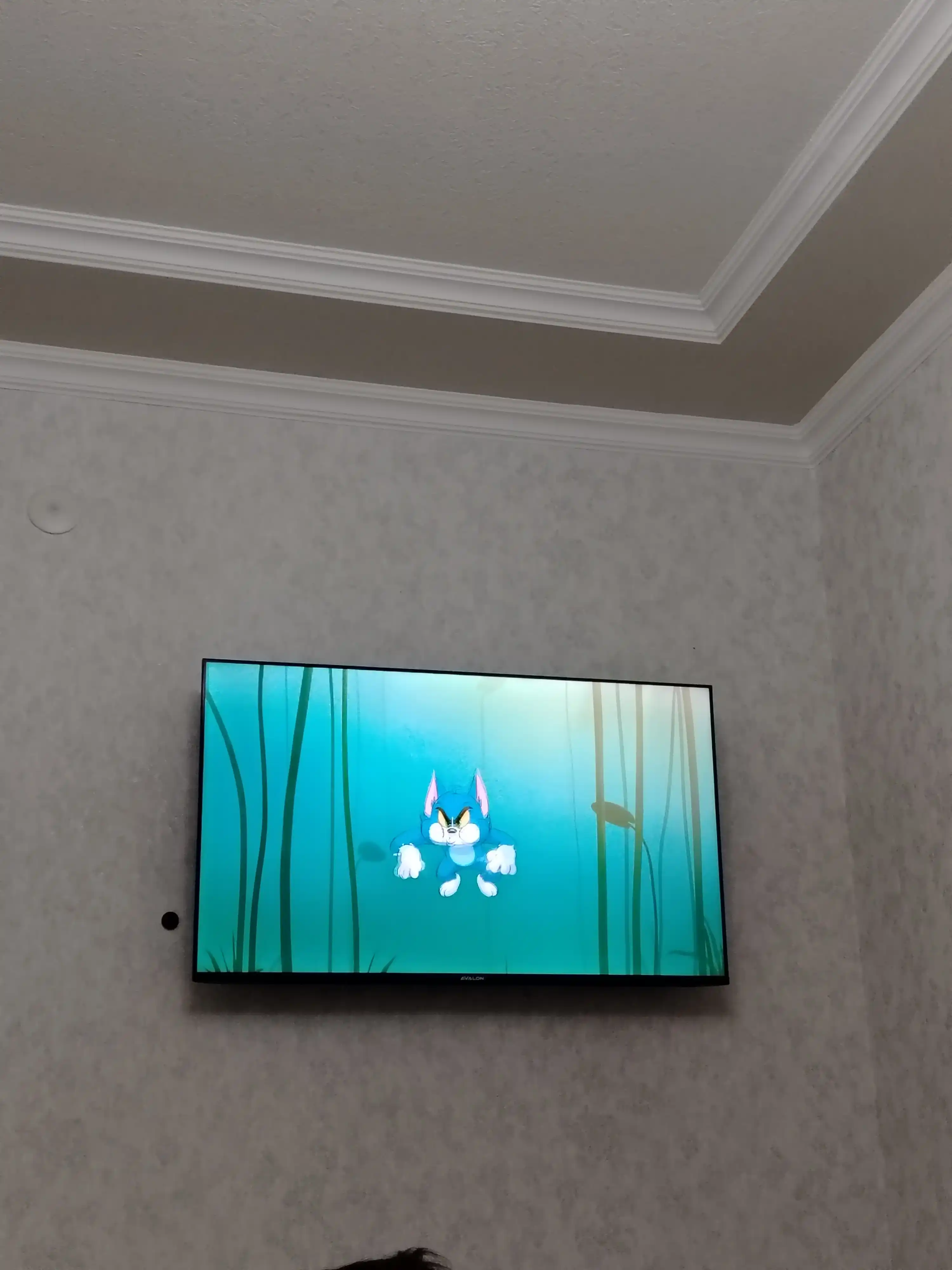 Смарт телевизор Avalon 43", 55",50, 65" QLED MQA800 4K Ultra HD