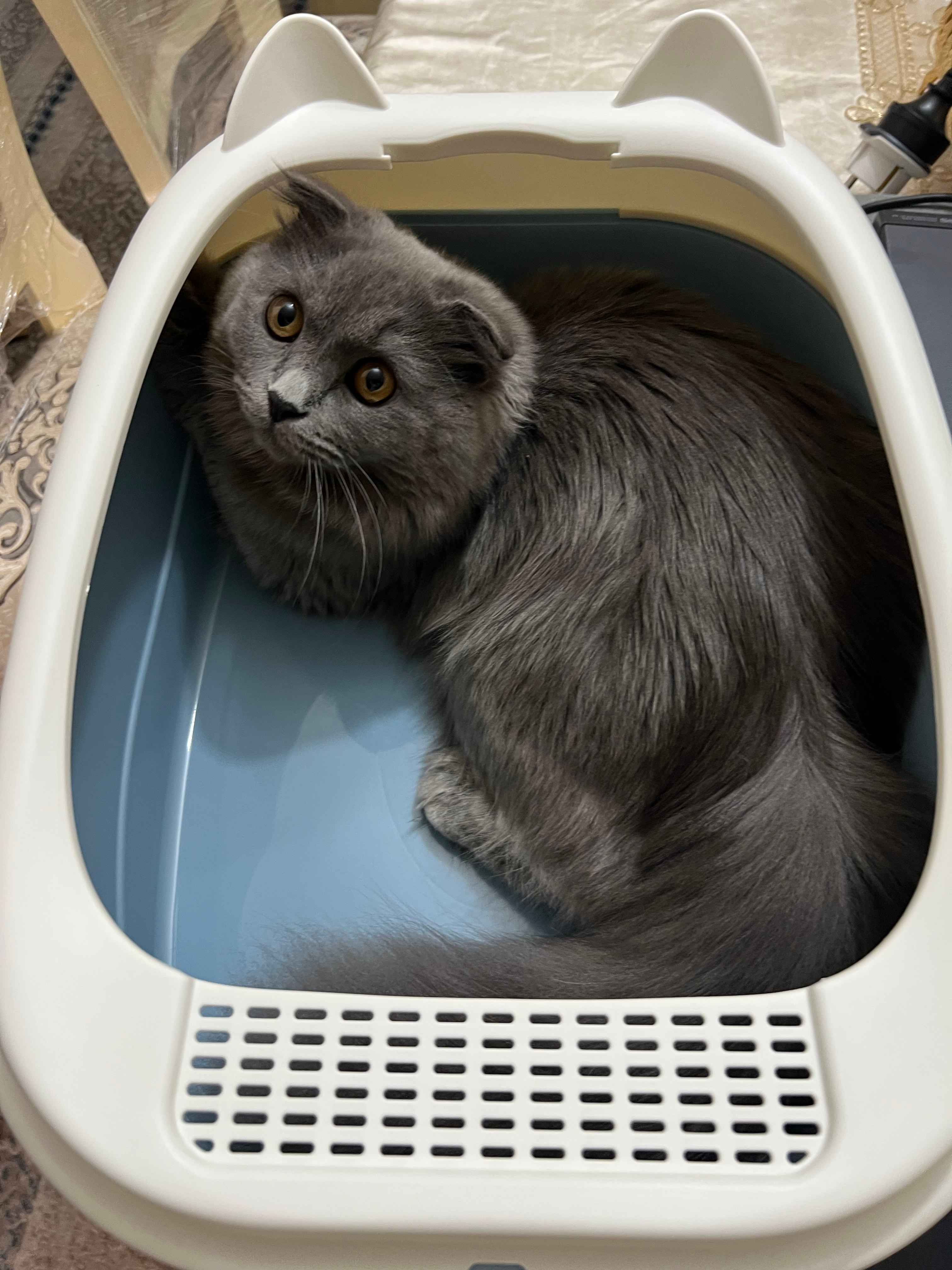 Fotosuratlar uchun lesbian jinsiy aloqa Oshxonada onam bilan onlayn porno