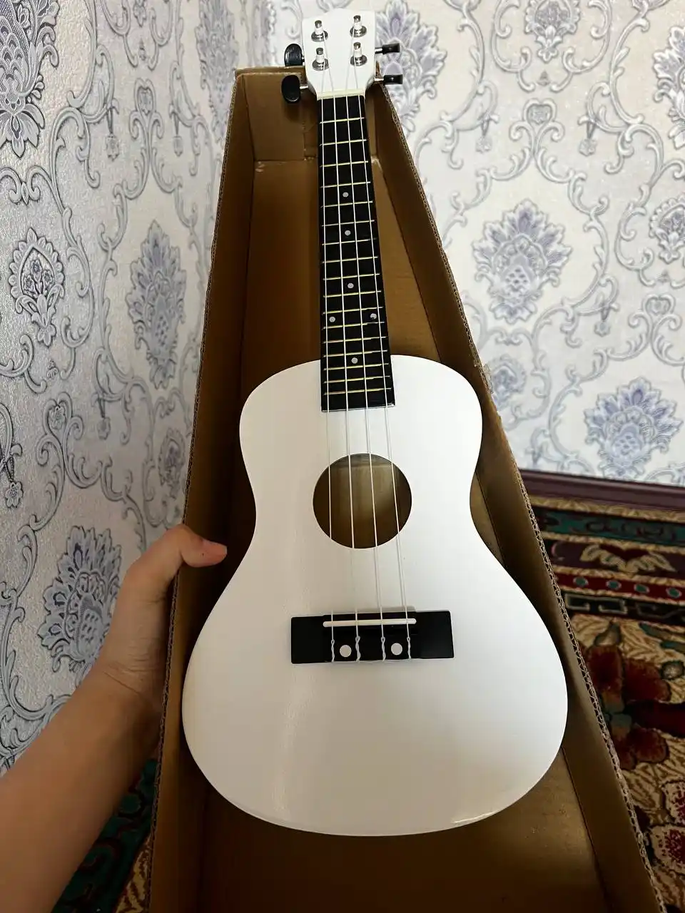 Konsert ukulelesi, 58 sm, musiqa asboblari to‘plami, mini gitara