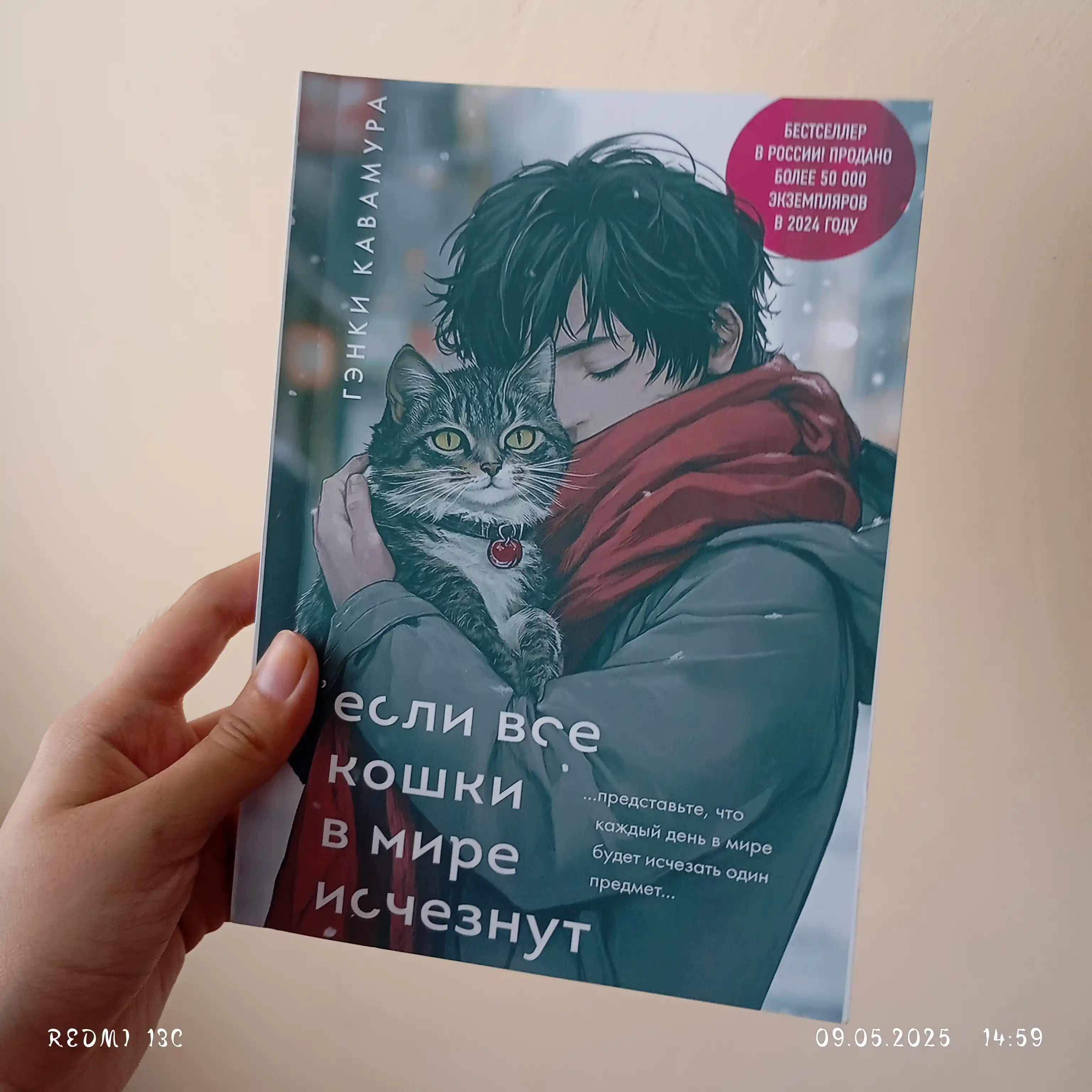 Если все кошки в мире исчезнут, Кавамура Генки