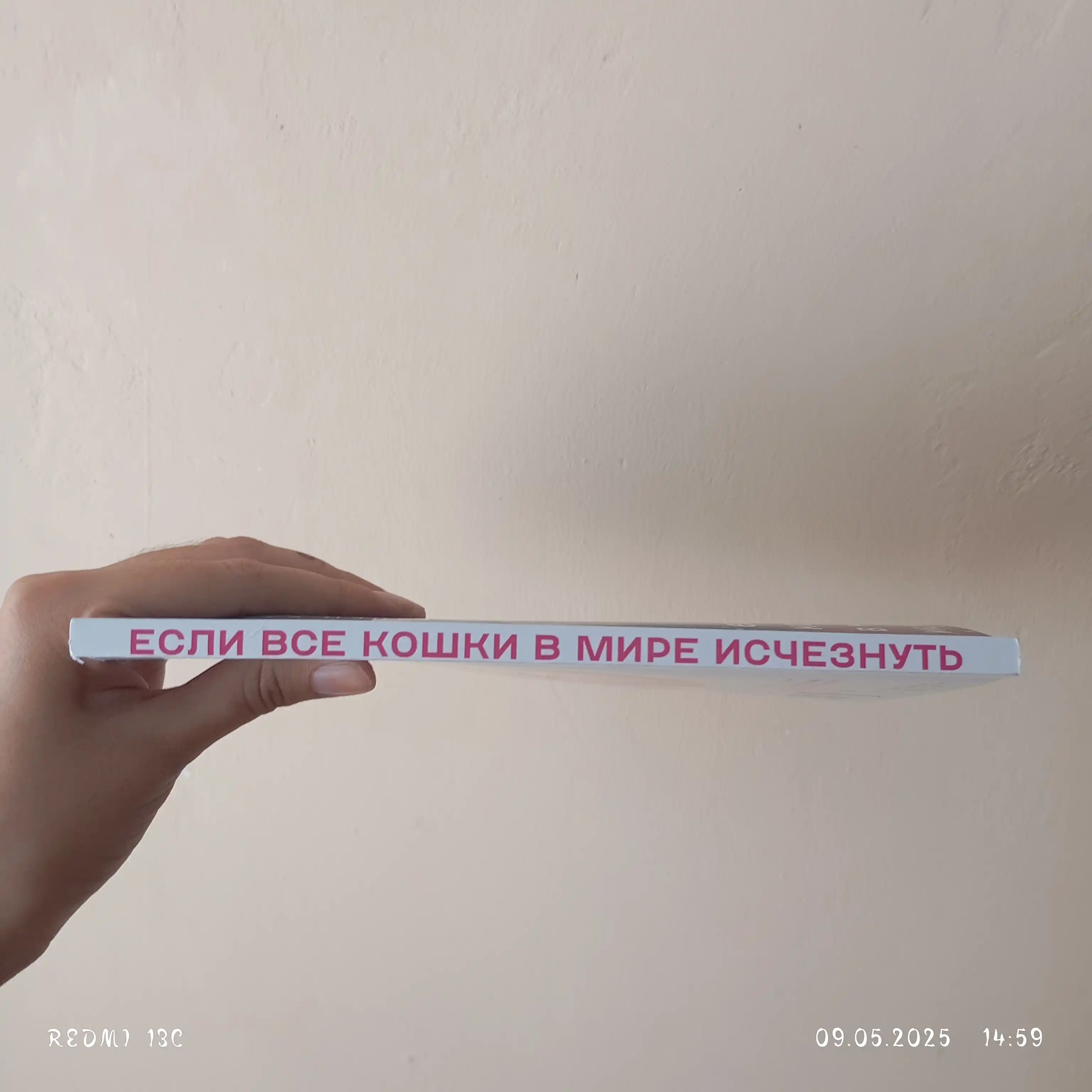 Если все кошки в мире исчезнут, Кавамура Генки