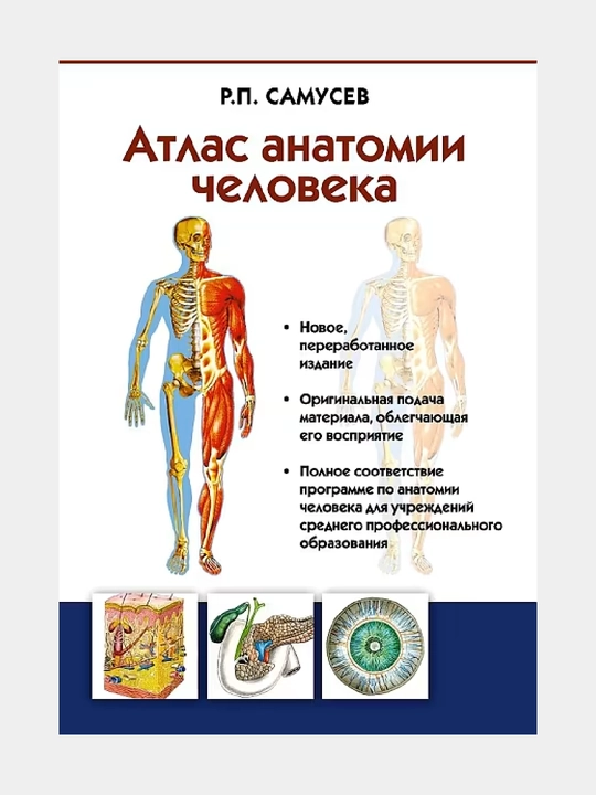 Атлас анатомии человека: учебное пособие - 