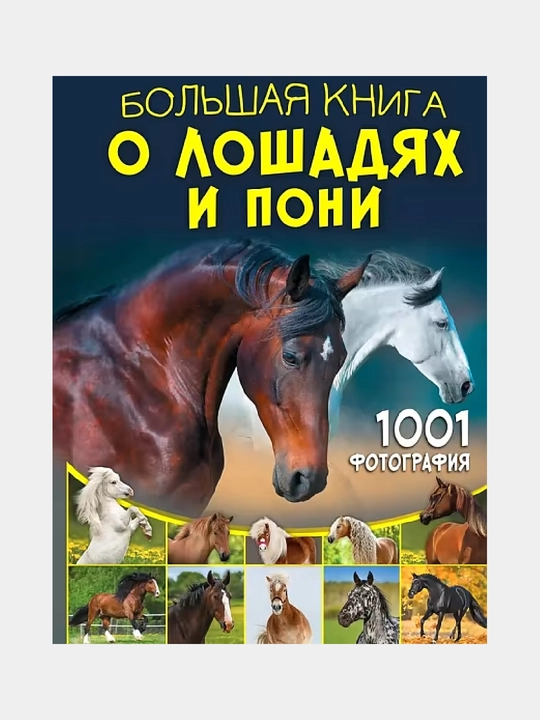 Большая книга о лошадях и пони, 1001 фотография - 