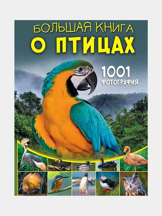 Большая книга о птицах, 1001 фотография - 