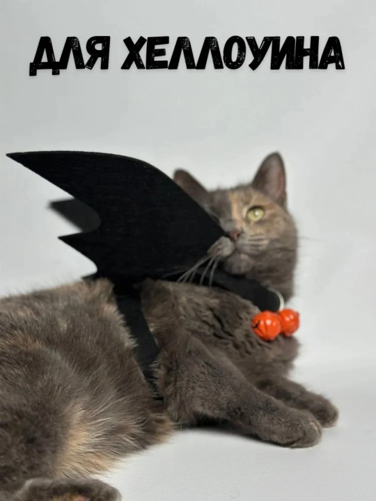 Костюмы для домашних кошек, забавные украшения для праздника