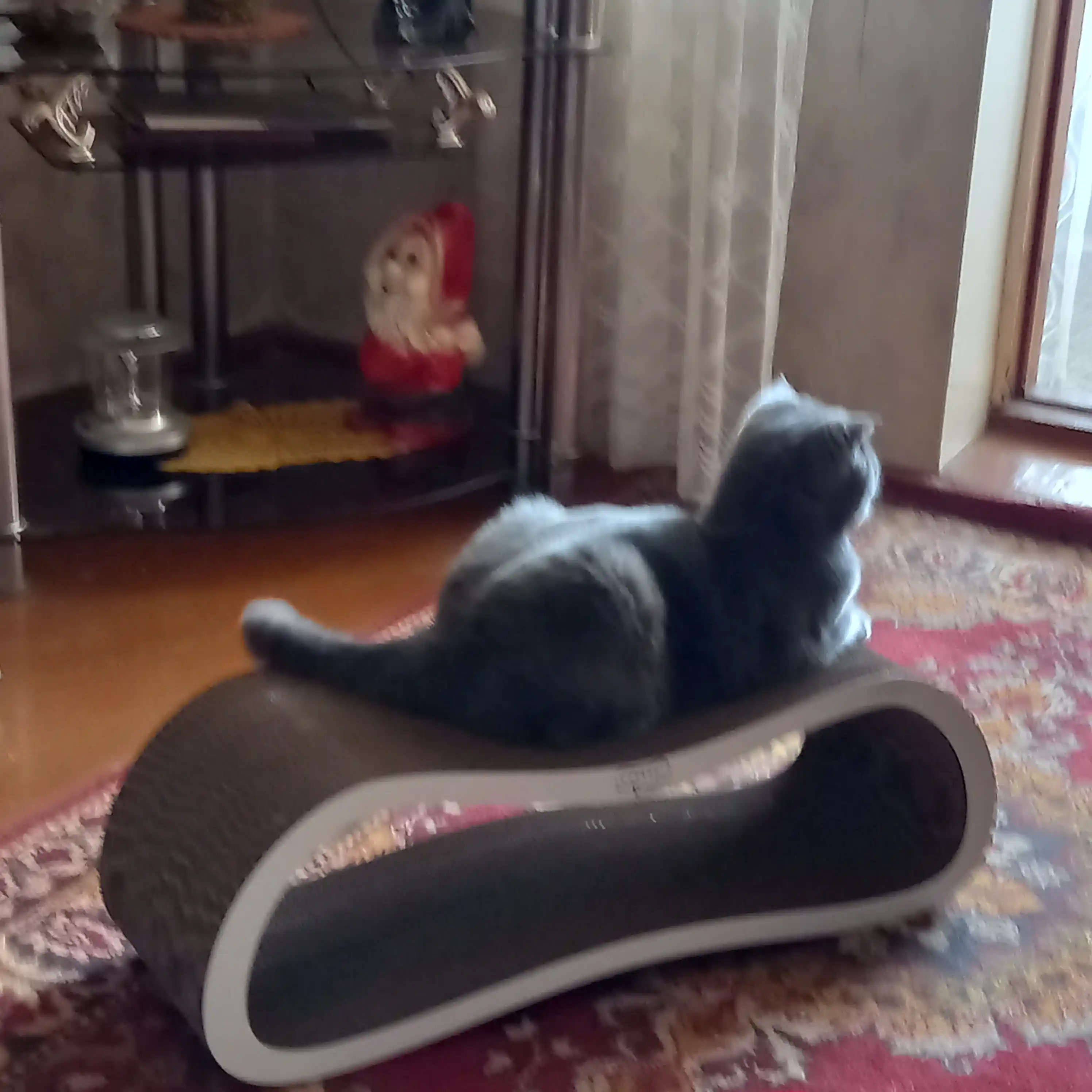 Tirnash ustuni, KinderCat Moon, mushuklar uchun