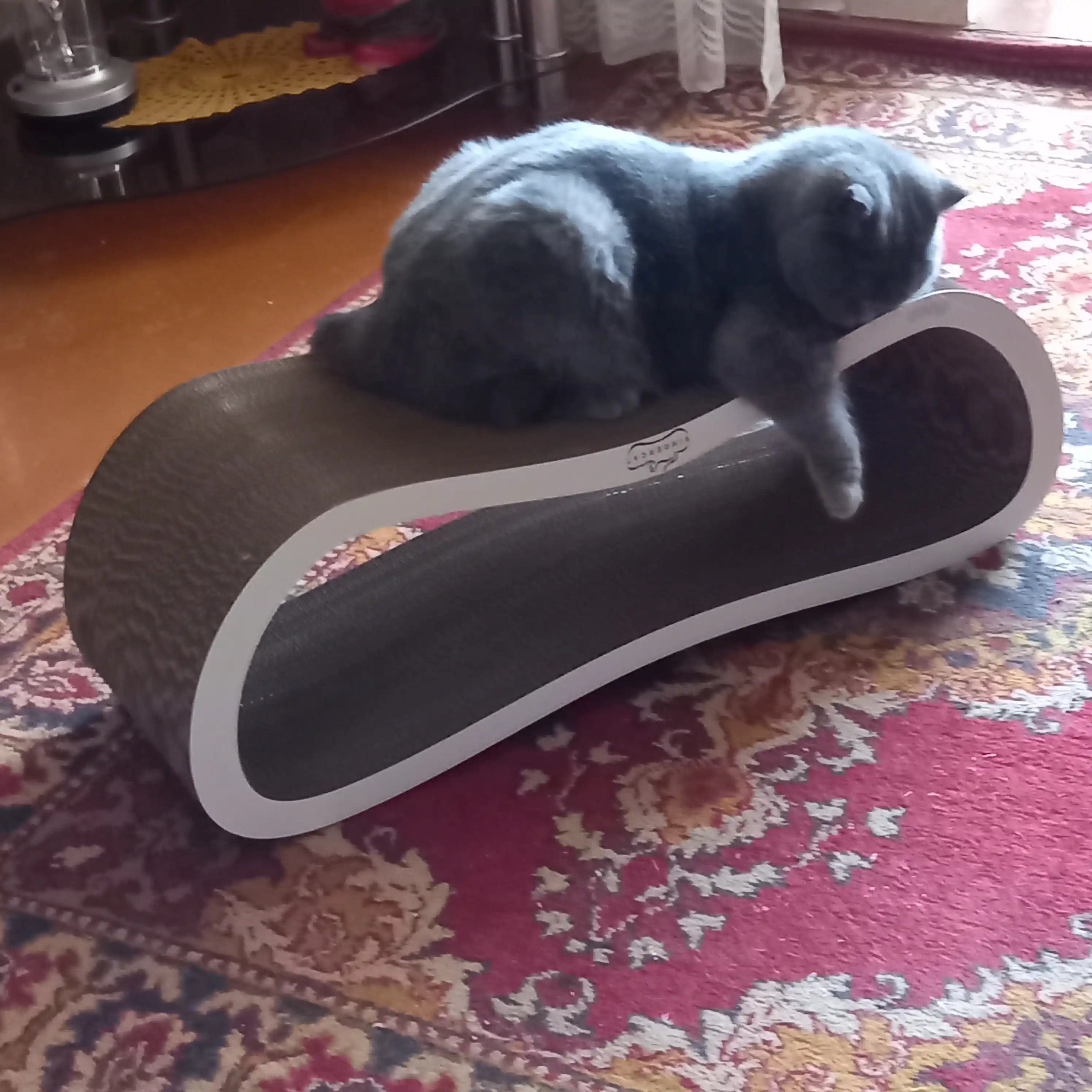 Tirnash ustuni, KinderCat Moon, mushuklar uchun