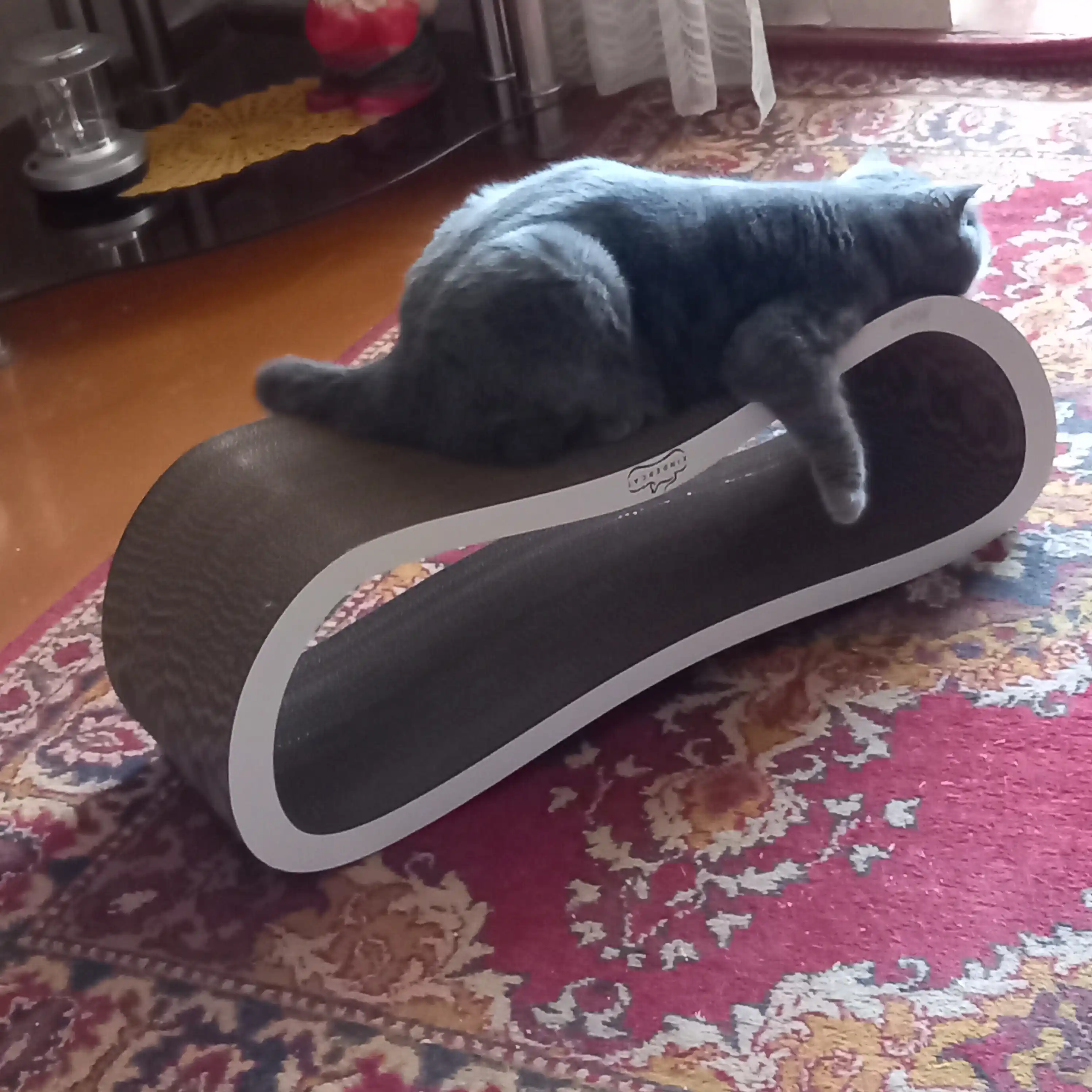 Tirnash ustuni, KinderCat Moon, mushuklar uchun