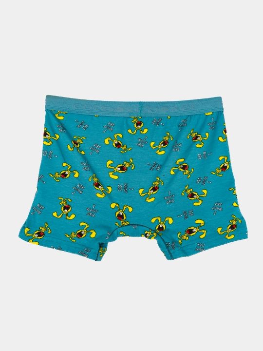 Erkaklar uchun ichki kiyim Catboxer, M, L, XL, XXL o'lchamlarda