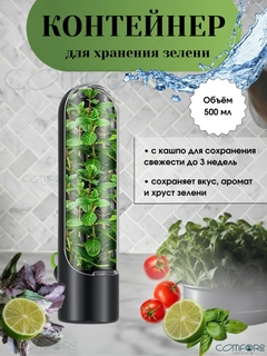 Qora