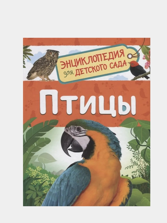 Птицы, Энциклопедия для детского сада - 