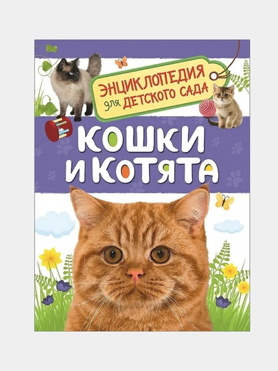 Кошки и котята, Энциклопедия для детского сада — GORFAM-GRI7762