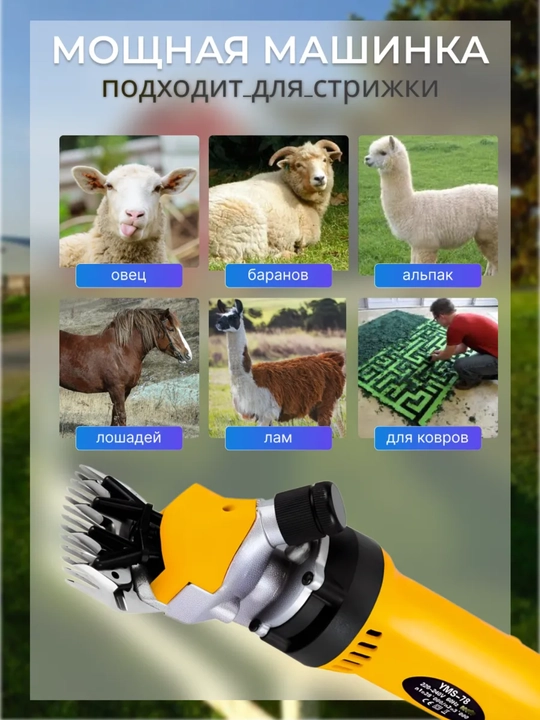 Qo‘chqor, echki, hayvonlarning junini qirqish mashinasi, gruming va tafting apparatlari