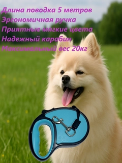 Moviy