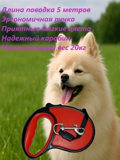 Qizil
