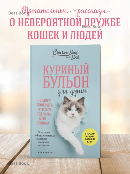 Kurinyy bulon dlya dushi, Ne mogu poverit, chto eto sdelala moya koshka! - 