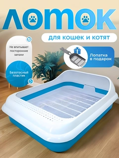 Лазурный