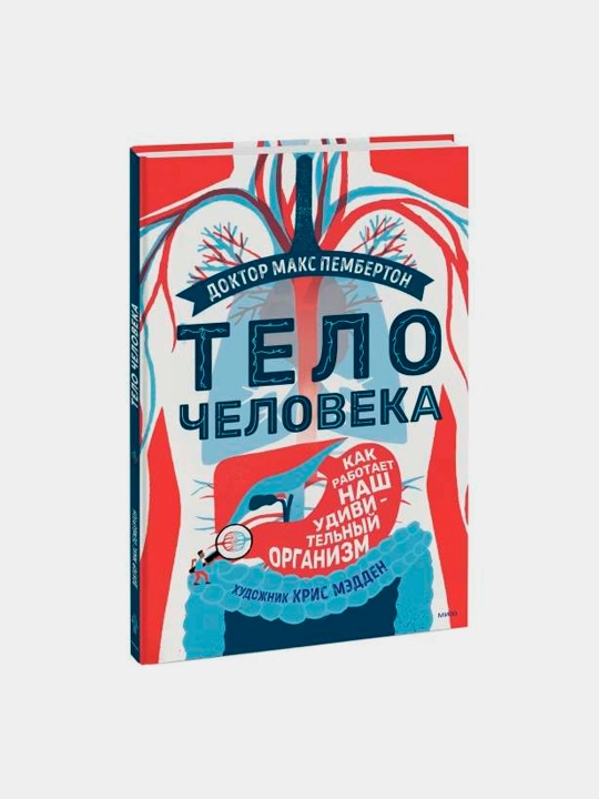 Тело человека, Как работает наш удивительный организм