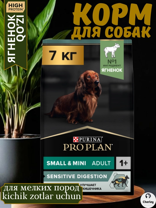 Kichik zotli kattalar itlari uchun ovqat ProPlan, ichak muvozanati uchun, qo'zichoq - 