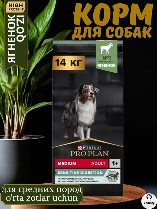 Pro Plan o'rta zotli kattalar itlari uchun quruq ovqat, ichak muvozanati uchun, qo'zichoq - 