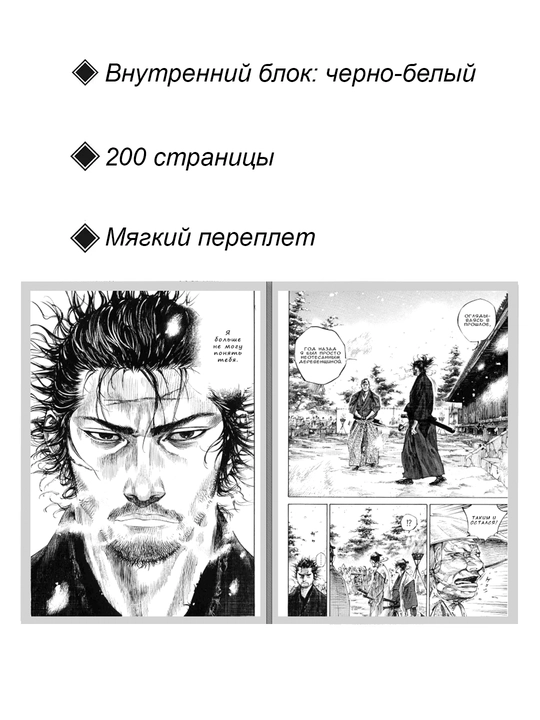 Манга Бродяга, 25 том